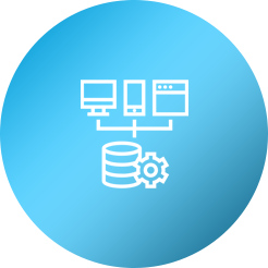 Data Management and Network Systems Icon
